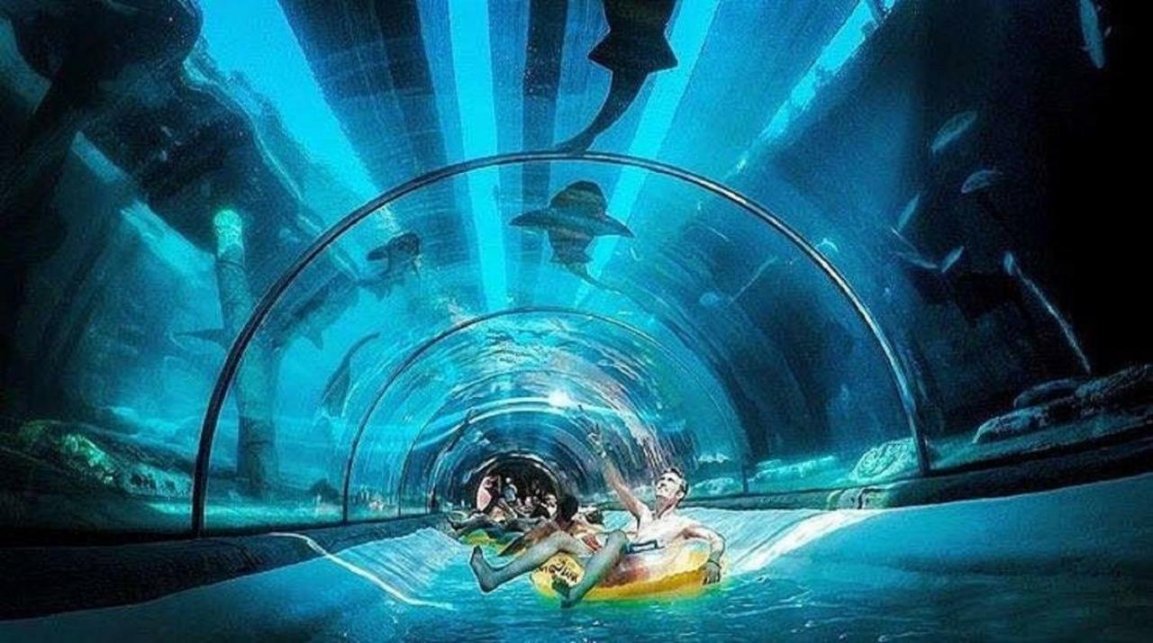 Summerland Los Cristianos  Kültér fotó